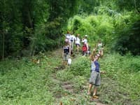 Chiang Mai Trek01: 1 Day Trekking Mae Tang Area travel program by Unix Peak Travel