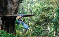 Zipline01: Zipline Flight of the Gibbon travel program by Unix Peak Travel