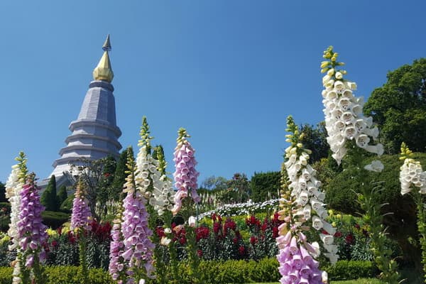 Chiang Mai Tour02: One Day Doi Inthanon National Park and Hilltribe Village travel program by Unix Peak Travel