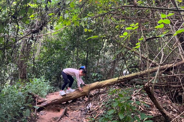 Half Day Tour03: Half Day Doi Suthep Temple and Monk Trail Trekking travel program by Unix Peak Travel