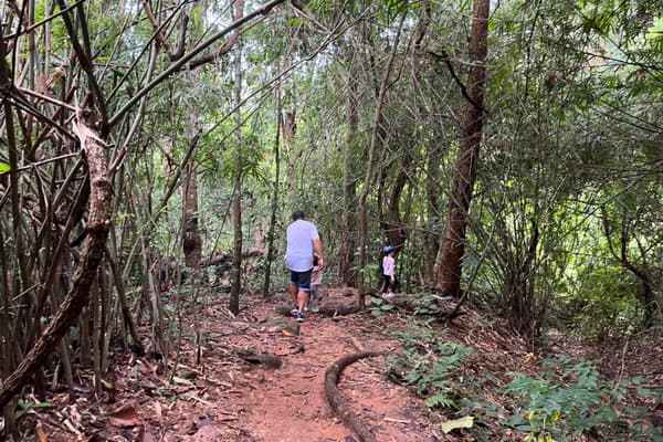 Chiang Mai Trek26: Trekking in Doi Suthep - Monk Trail Trekking travel program by Unix Peak Travel