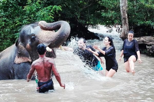 Chiang Mai Tour10: One Day Elephant Care and Bamboo Rafting Adventure travel program by Unix Peak Travel
