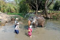 Elephant Tour04: Full Day Elephant Care at Kanta Elephant Sanctuary travel program by Unix Peak Travel