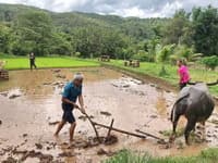 Chiang Mai Trek25: 1 Day Chiang Mai Mae Win Trekking and Thai Farmer Experience travel program by Unix Peak Travel