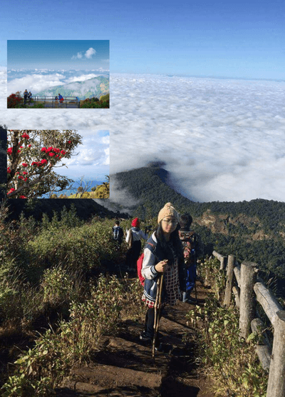 Event01: Trekking at Kew Mae Pan Nature Trail, Inthanon National Park travel program by Unix Peak Travel