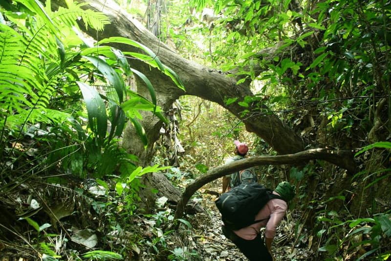 Mae Hong Son Trek02: A Day Hike at Ban Huay Kaew Bon travel program by Unix Peak Travel