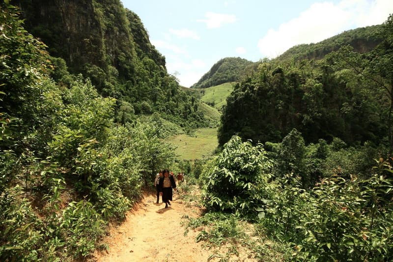 Mae Hong Son Trek15: 2-Day Trek to Ban Jabo travel program by Unix Peak Travel