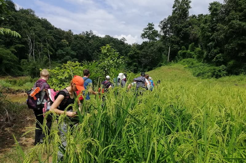 Mae Hong Son Trek07: Trekking at Ban Muang Pam travel program by Unix Peak Travel