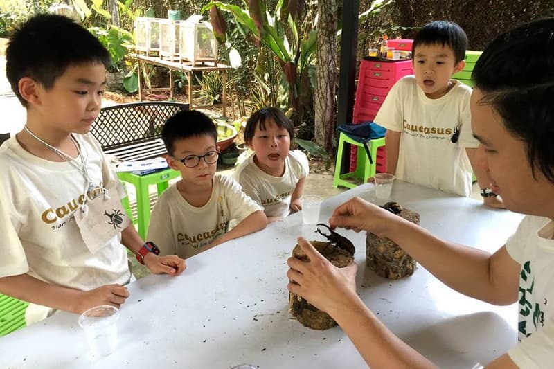 Siam Insect Zoo travel program by Unix Peak Travel