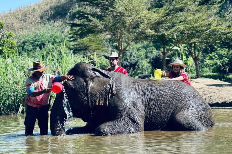 Chiang Rai Tour04: Half Day Elephant Chiang Rai travel program by Unix Peak Travel
