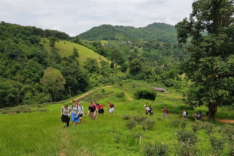 Chiang Rai Tour02: Chiang Rai Day Trek travel program by Unix Peak Travel
