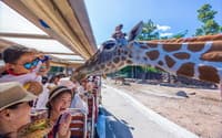 Budget09: Chiang Mai Night Safari Tour travel program by Unix Peak Travel