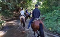 AD07: Horse Riding Adventure travel program by Unix Peak Travel