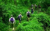 Chiang Mai Trek16: 3 Days 2 Nights Trekking Doi Inthanon National Park travel program by Unix Peak Travel