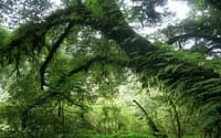 Budget06: Tour Doi Inthanon National Park and Hilltribe Village travel program by Unix Peak Travel