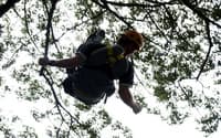 Zipline02: Zipline Jungle Flight travel program by Unix Peak Travel