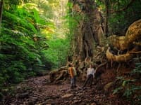 Chiang Mai Trek22: 1 Day Trekking in Chiang Dao Wildlife Sanctuary travel program by Unix Peak Travel