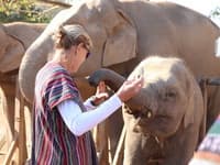 Elephant Tour05: Half Day Elephant Care at Elephant Jungle Sanctuary travel program by Unix Peak Travel