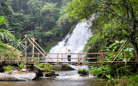 Budget05: Elephant Observation and Hiking Doi Inthanon travel program by Unix Peak Travel