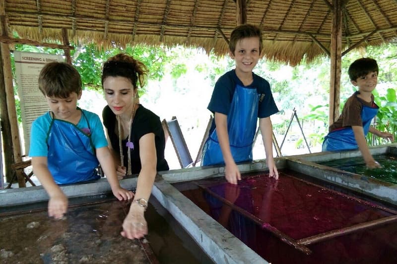 Elephant Poo Poo Paper Park travel program by Unix Peak Travel